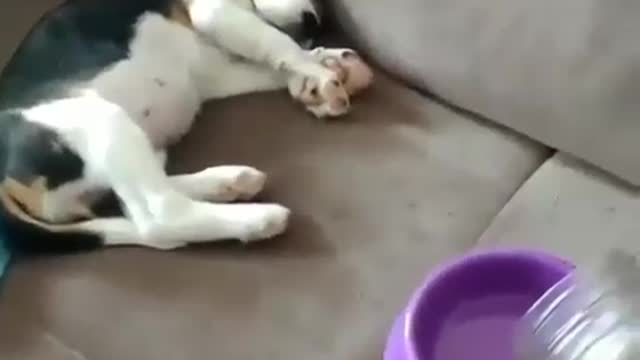 I'm hungry🤣🤣🤣