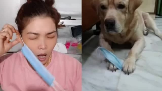 #Funny videos and comedy videos entertainment