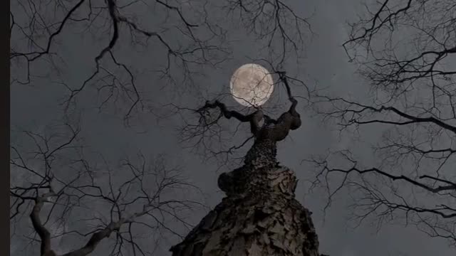 #spooky night 😱😱😱####