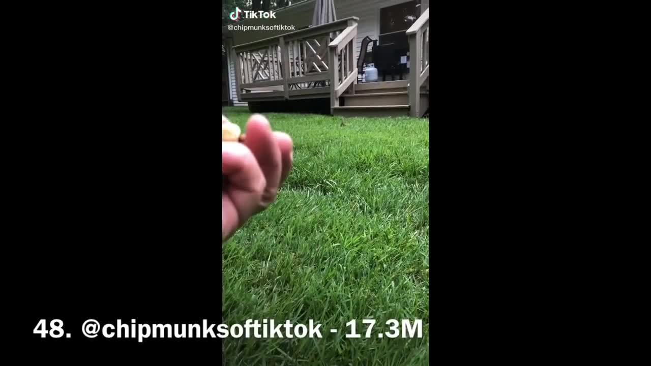 TOP 50 MOST LIKED TIKTOK OF ALL TIME