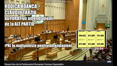 Tradarea AUR, fura amendamente
