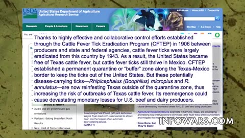 Bowne Report - Untold Horrors From The Border Invasion