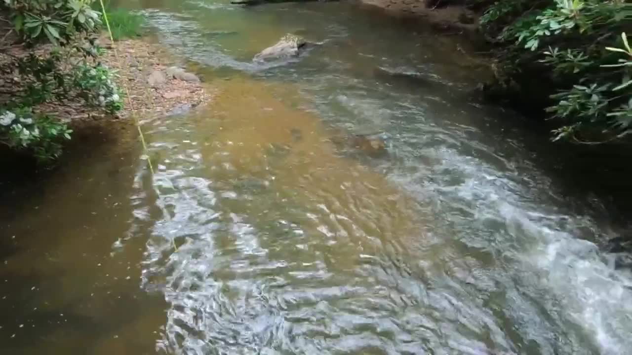 Beautiful relaxing day of fishing awesome videos!