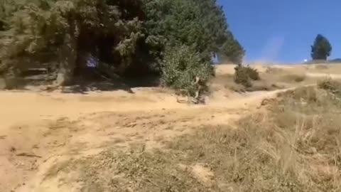mountain biking