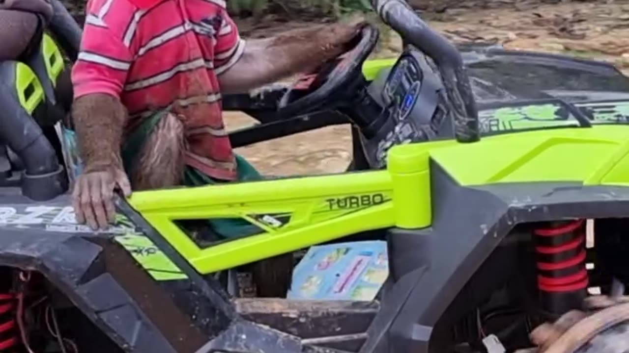 Cute monkey drives truck home