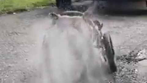 Watch him grow up into a big meatball who steals every blanket in the house!