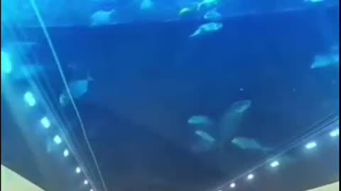 UNDER WATER TUNNEL IN CHINA