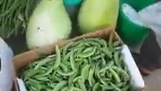 OMAN-MUSCAT FRUITS AND VEGETABLE MARKET.