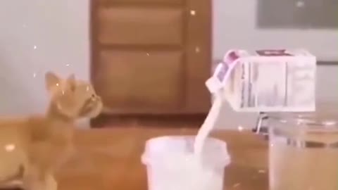 I want some milk. Pour it on me