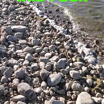 Look For The Subtle Differences While Fishing