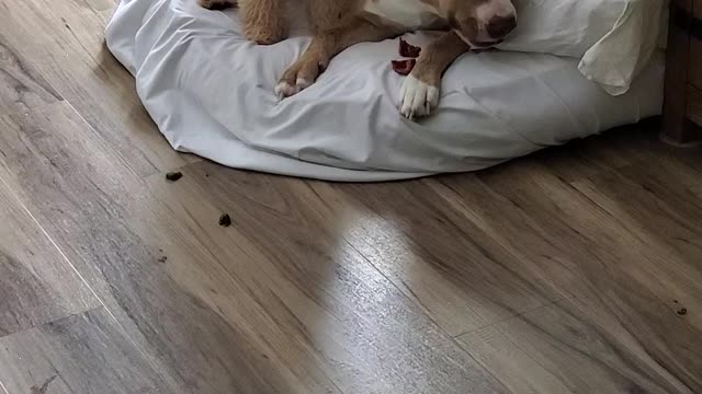 They love each other