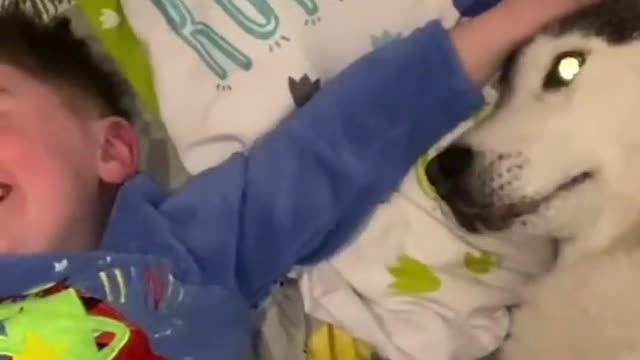 Husky Stops Baby Crying At Bedtime, Then Refuses To Stop Cuddling Him