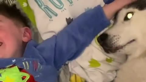 Husky Stops Baby Crying At Bedtime, Then Refuses To Stop Cuddling Him