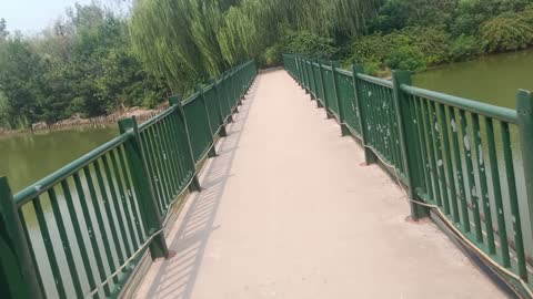 this bridge leads there