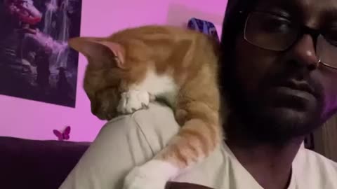 Cuddly Kitty Clutches Owner's Finger