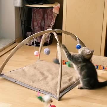 Cute baby playing at home