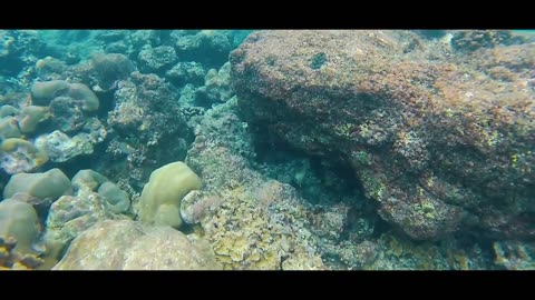 "Siumat" : Beautiful Island in Simelue, Aceh - Indonesia