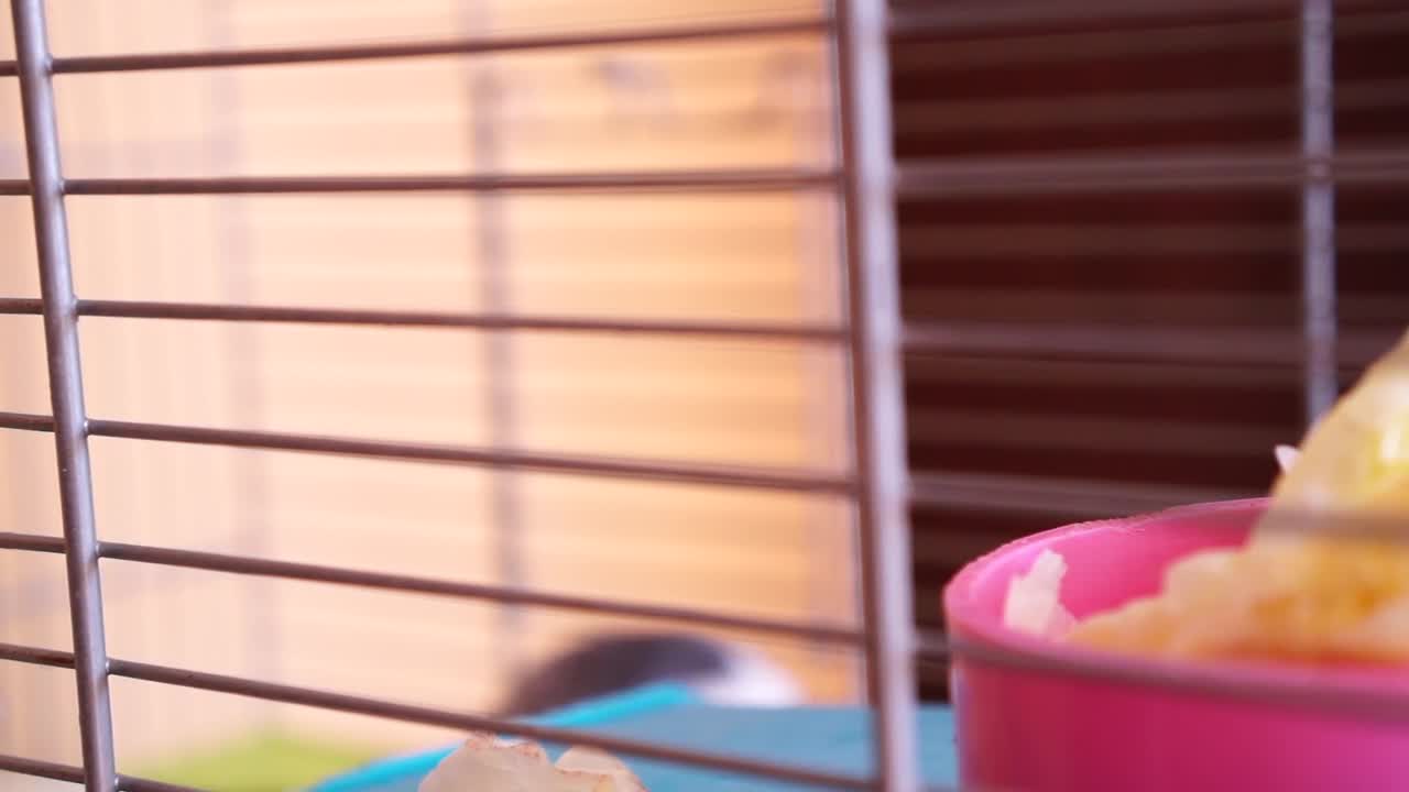 And too cute