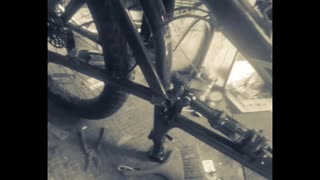 Cleaning bearings on mtn. Bike.