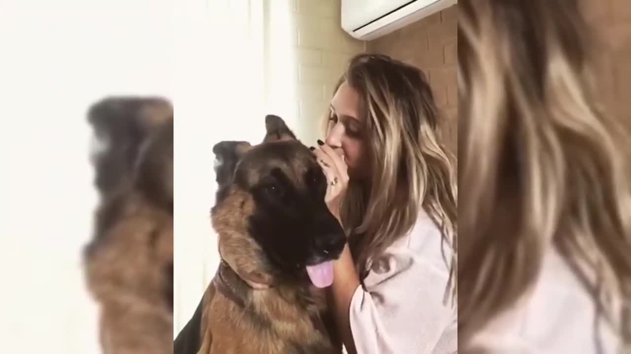 Cute Gog Getting Excited When His Owner Whispers In His Ear