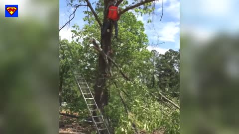 Super funny videos !!