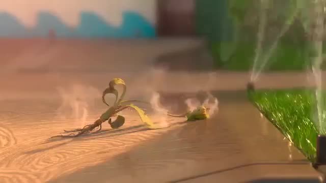 ANIMATION - LIFE OF PLANT - BEAUTIFUL SHORT STORY