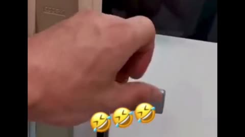 Funny animals