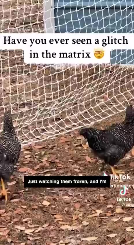 Glitch in the Matrix?