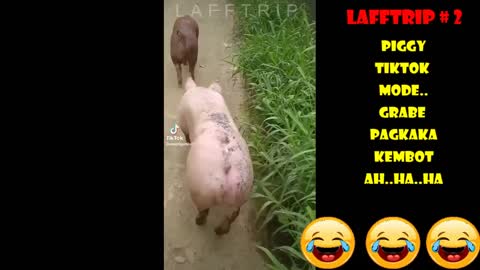 LaffTrip : Random Funny Videos | Sounds of the Bells...| Try not to laugh ....😂😂😂