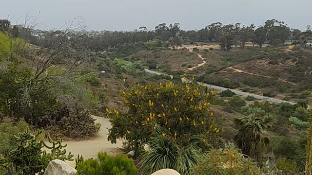 The East Side of Balboa Park