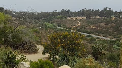 The East Side of Balboa Park