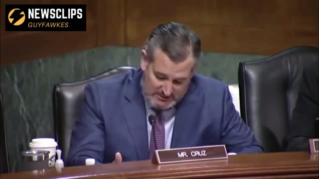 Senator Ted Cruz To Judicial Nominee