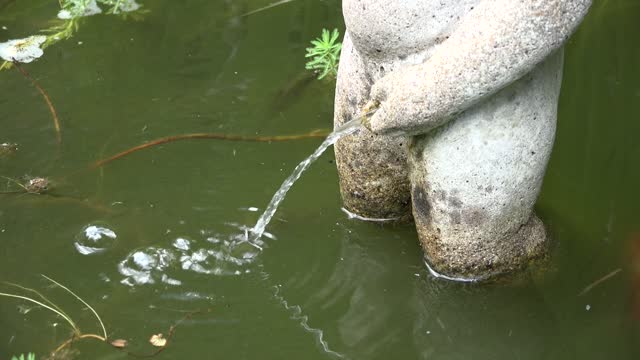 Pond With Koi