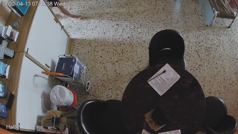 hallmid midnight 20220413