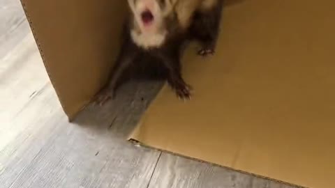 🤣🤣🤣🤣🤣🤣🤣