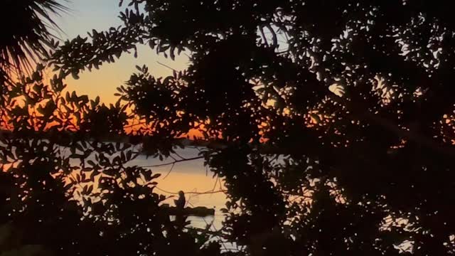 Fishing at a Beautiful Dawn on the River