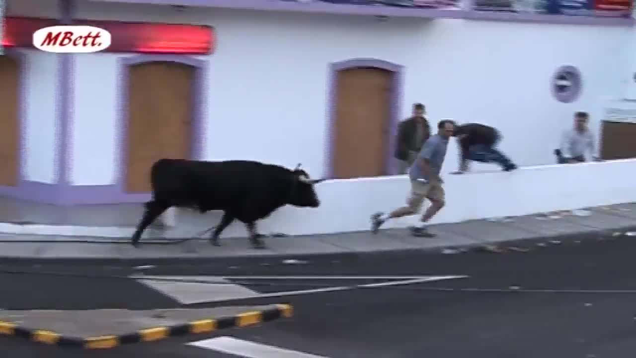 Funniest videos of bullfights