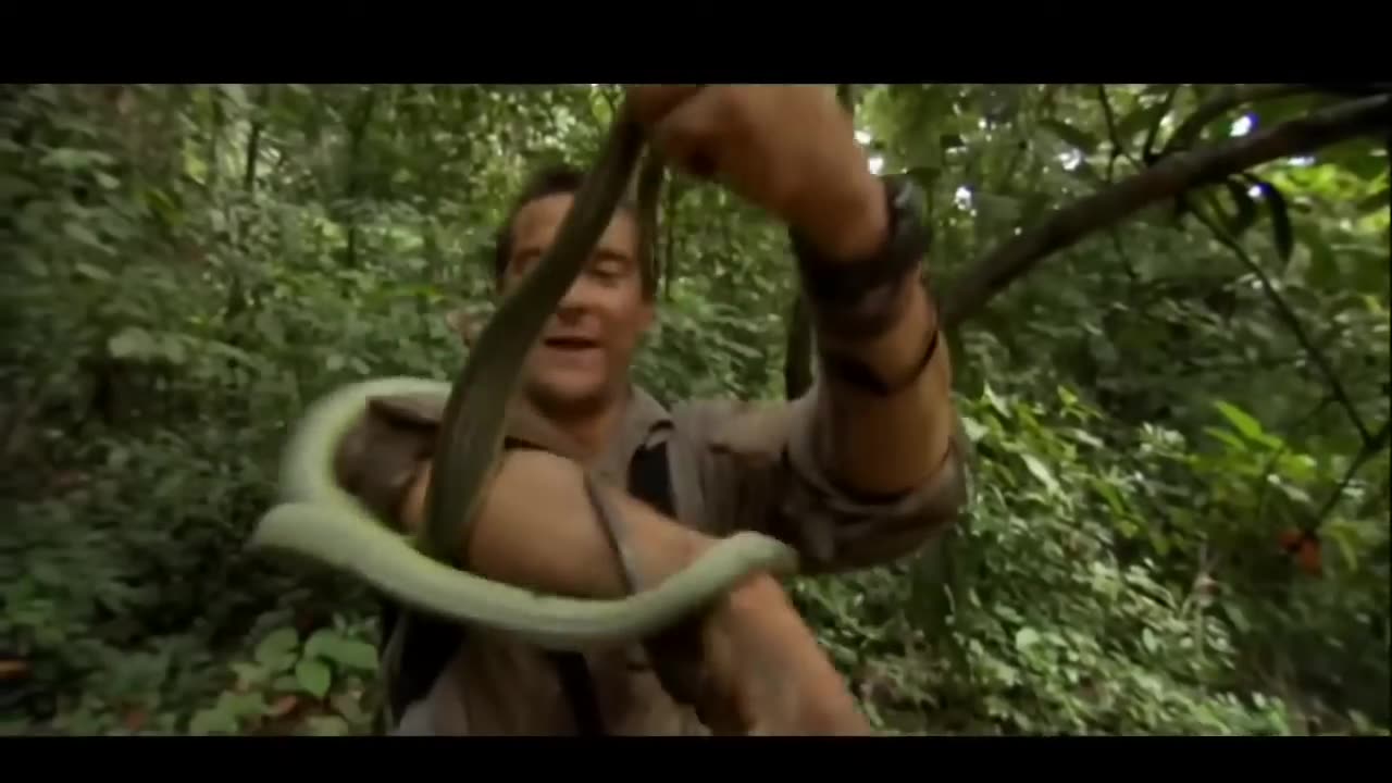 Man VS Wild___Hindi___New__ episode 2023 (720P__HD)