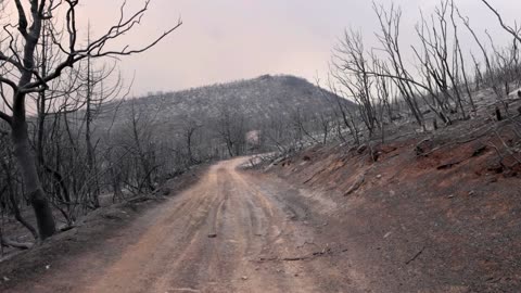 Greek coroner tells of charred bodies on migrant trail