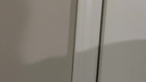 Neighbor