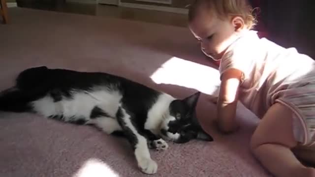 Child proof Cat