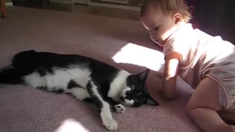 Child proof Cat