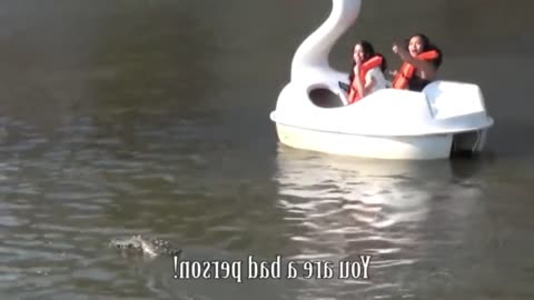 Remote control alligator prank gone wrong lake