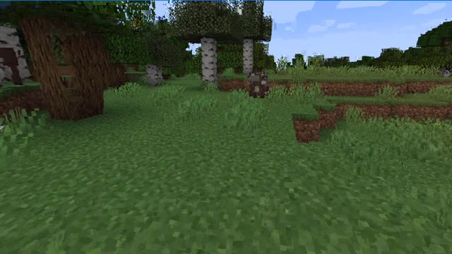 Minecraft 1.17.1_Shorts Modded 2nd time_Outting_87