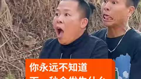 chinese comedy