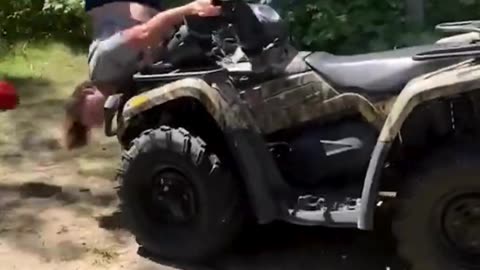 The end 😂😂😂 #viral #shorts #reels #fails #funny #fail #mmvfunny