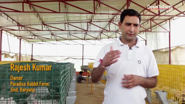 Rabbit farming is an emerging but profitable business.2021