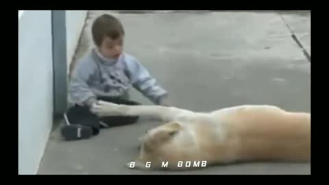 Dog help sad boy