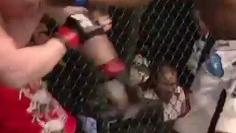 Brocklesnar and Alistair fight ufc