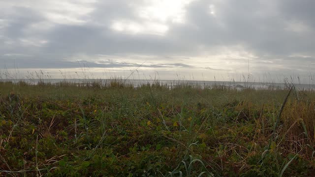 North Shore Myrtle Beach 4K Stock Footage